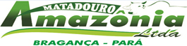 matadouro-amazonia-bragança